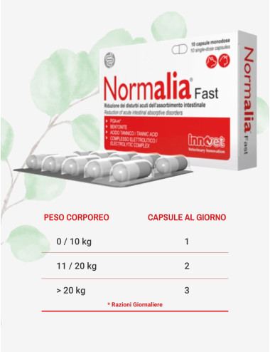 NORMALIA FAST 10CPS