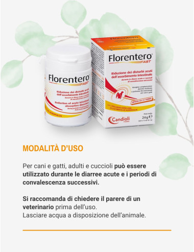 FLORENTERO FAST 12CPR