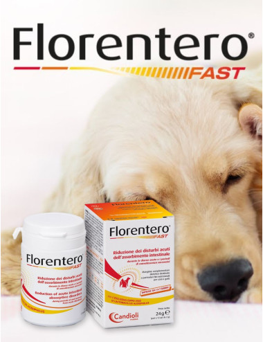 FLORENTERO FAST 12CPR