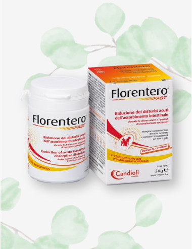 FLORENTERO FAST 12CPR