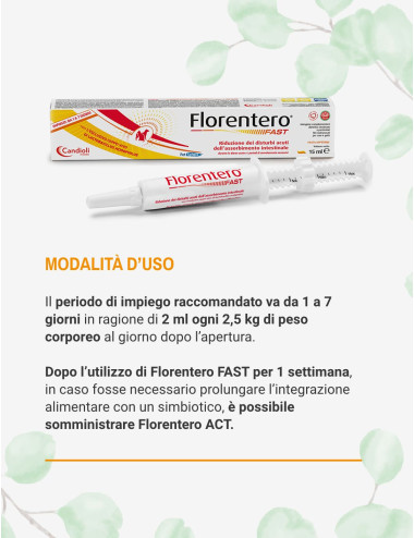 FLORENTERO FAST SIRINGA 15ML