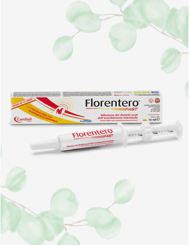 FLORENTERO FAST SIRINGA 15ML