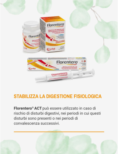 FLORENTERO FAST SIRINGA 15ML