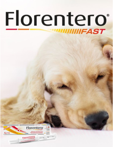 FLORENTERO FAST SIRINGA 15ML