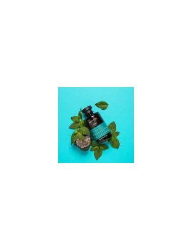Apivita Shampoo Sebo-Regolatore - Shampoo Purificante per Capelli Grassi