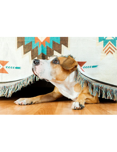 ZYLKENE CANI 10-30 kg 20 cps