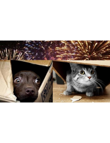 ZYLKENE CANI/GATTI fino 10 kg 20CPS