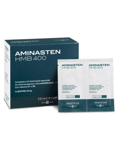 PRINCIPIUM AMINASTEN HMB 400 14BUST